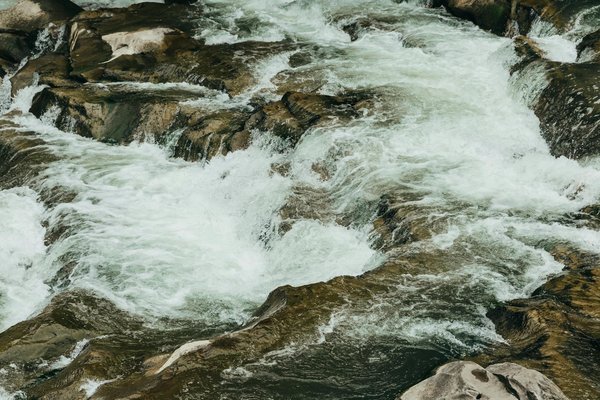 Quels sont les meilleurs spots pour faire du snorkeling à Zanzibar?