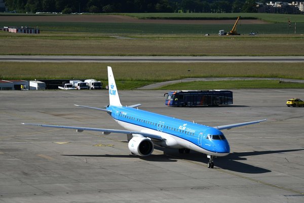 Quels sont les meilleurs spots pour observer les dauphins en Nouvelle-Zélande?